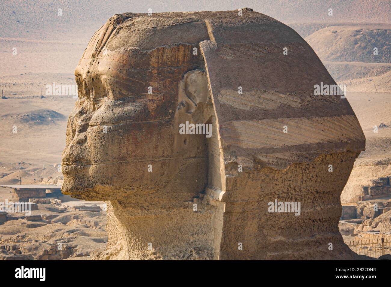 close up of sphinx statue in egypt cairo giza pyramids Stock Photo Alamy