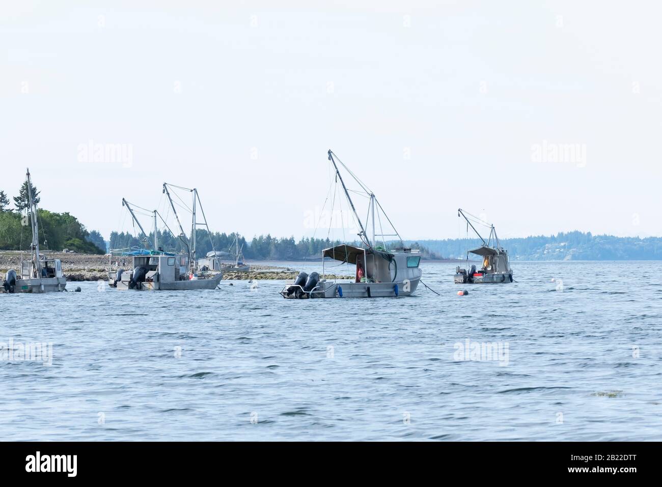 Fishing boats in the ocean at Union Bay, Vancouver Island, British