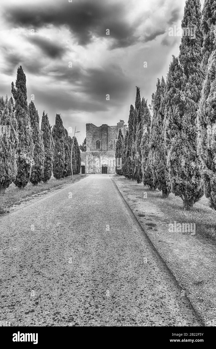 CHIUSDINO, ITALY - JUNE 22: Scenic road dotted with cypress trees, that leads to the iconic Abbey of San Galgano, in the town of Chiusdino, in the pro Stock Photo