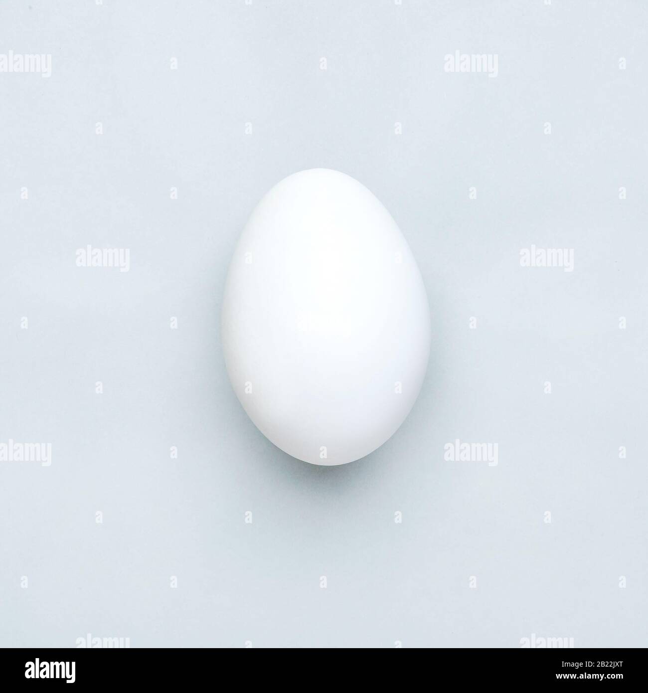 Minimal white easter egg on gray background, flat lay Stock Photo
