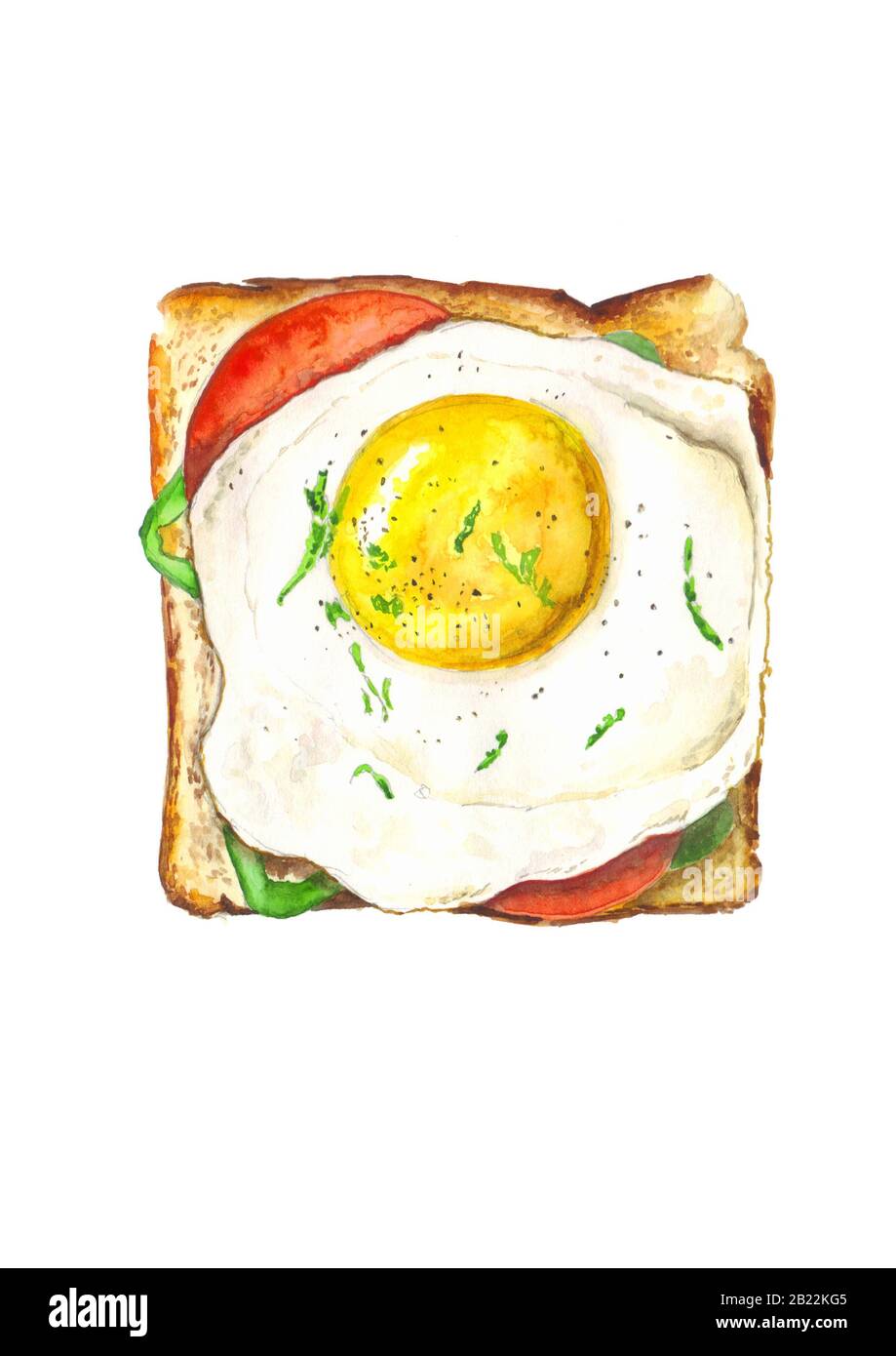 sandwich with egg, tomatoes, paprika,watercolor illustration,food art