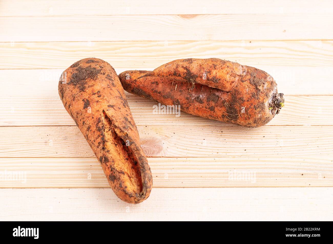 Ugly carrots on wooden table, top view Stock Photo