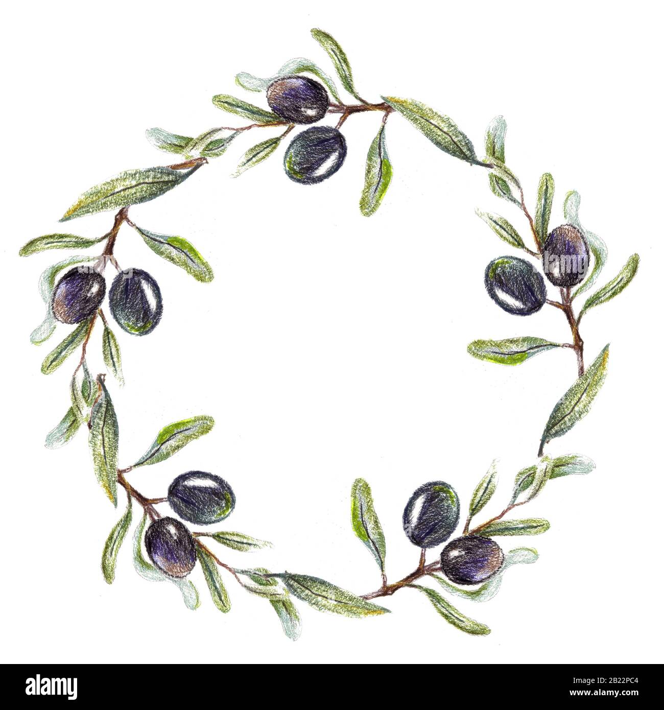 olive branch wreath. pencil drawn natural frame Stock Photo - Alamy