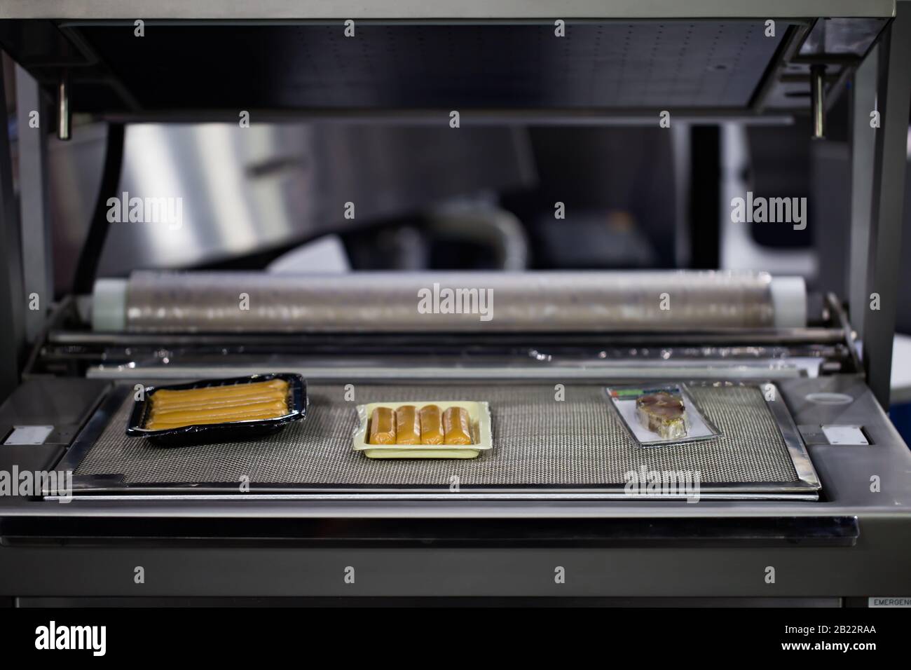 Heat sealing vacuum machine for food packaging Stock Photo Alamy