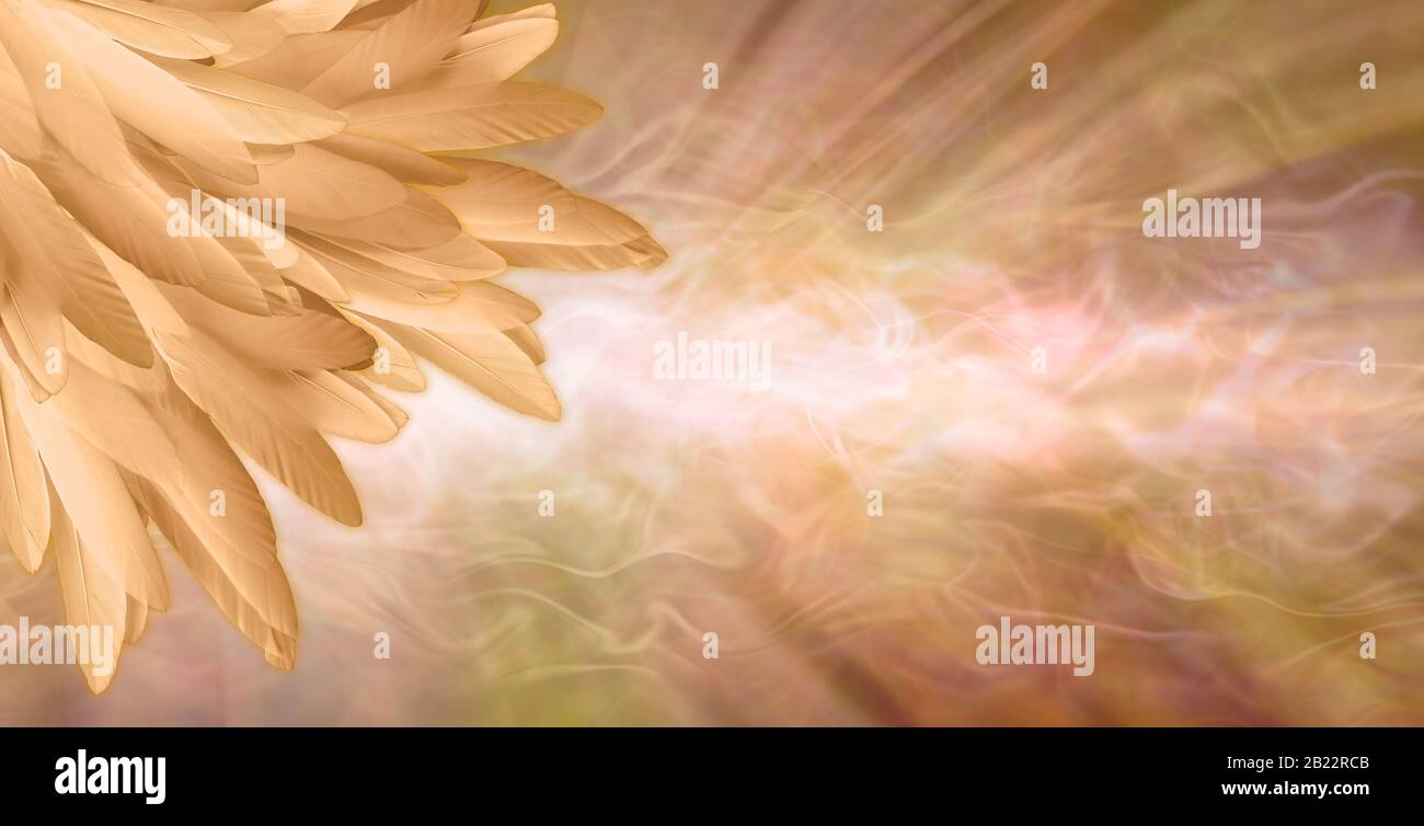 Golden Angel Feather Message Banner Background - a pile of random long golden feathers in left corner against a gaseous flowing energy field Stock Photo