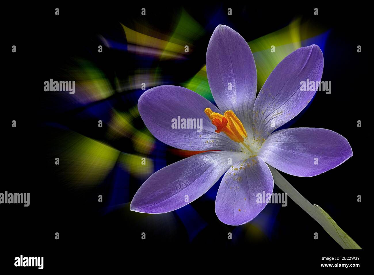 Purple twirl background hi-res stock photography and images - Alamy