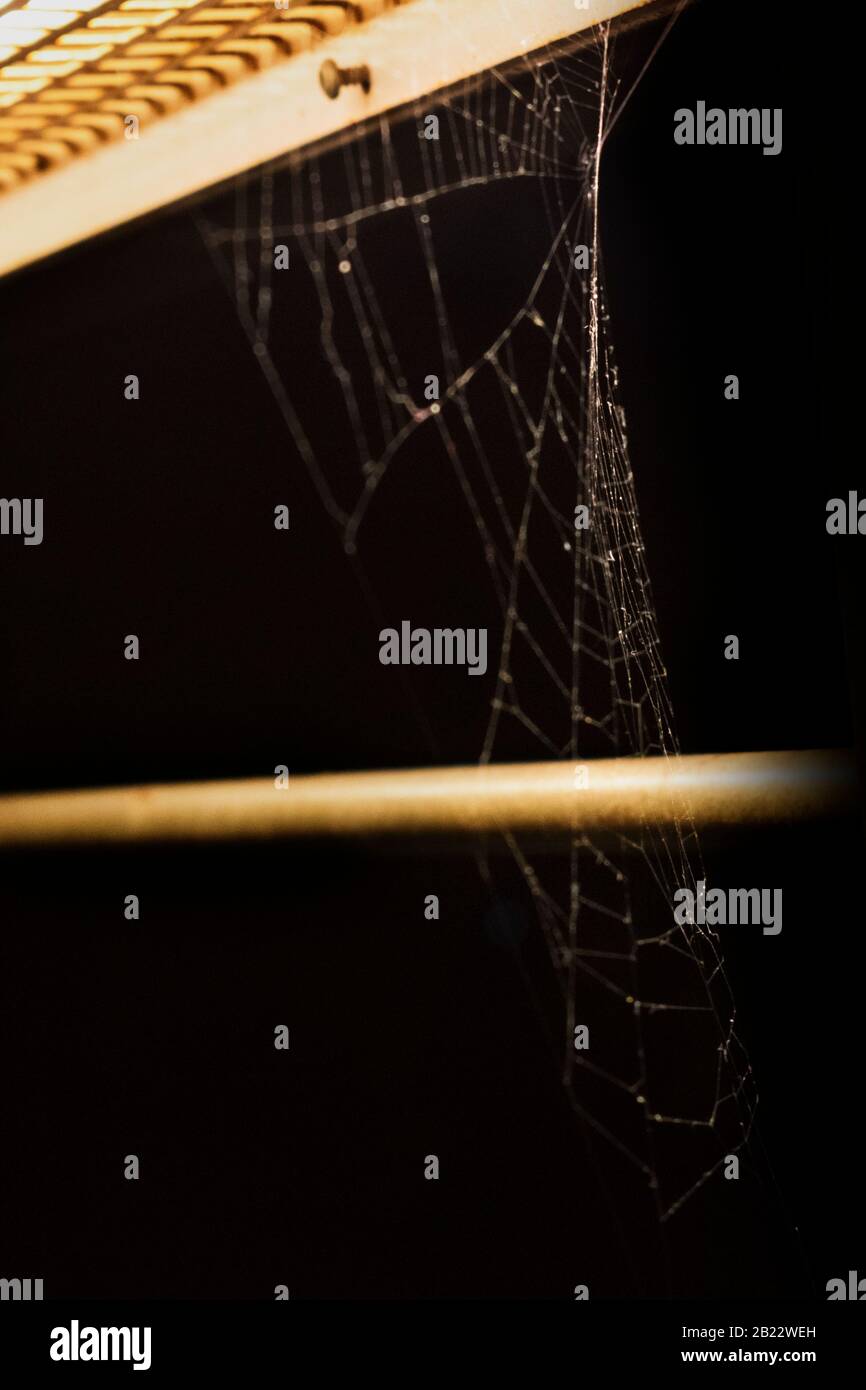 A spider web on metal railings awaits the built-in light Stock Photo ...