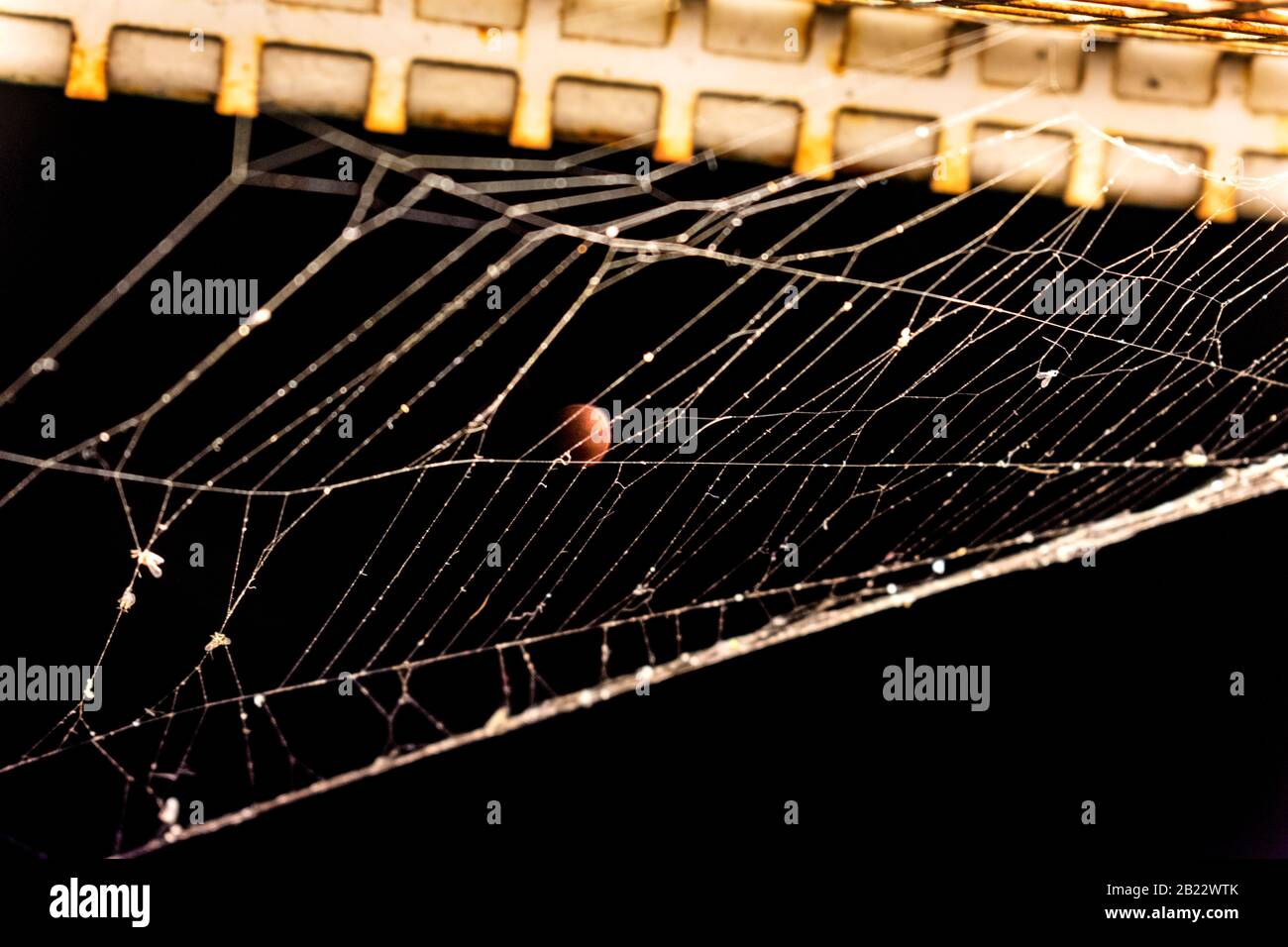 A spider web on metal railings awaits the built-in light Stock Photo
