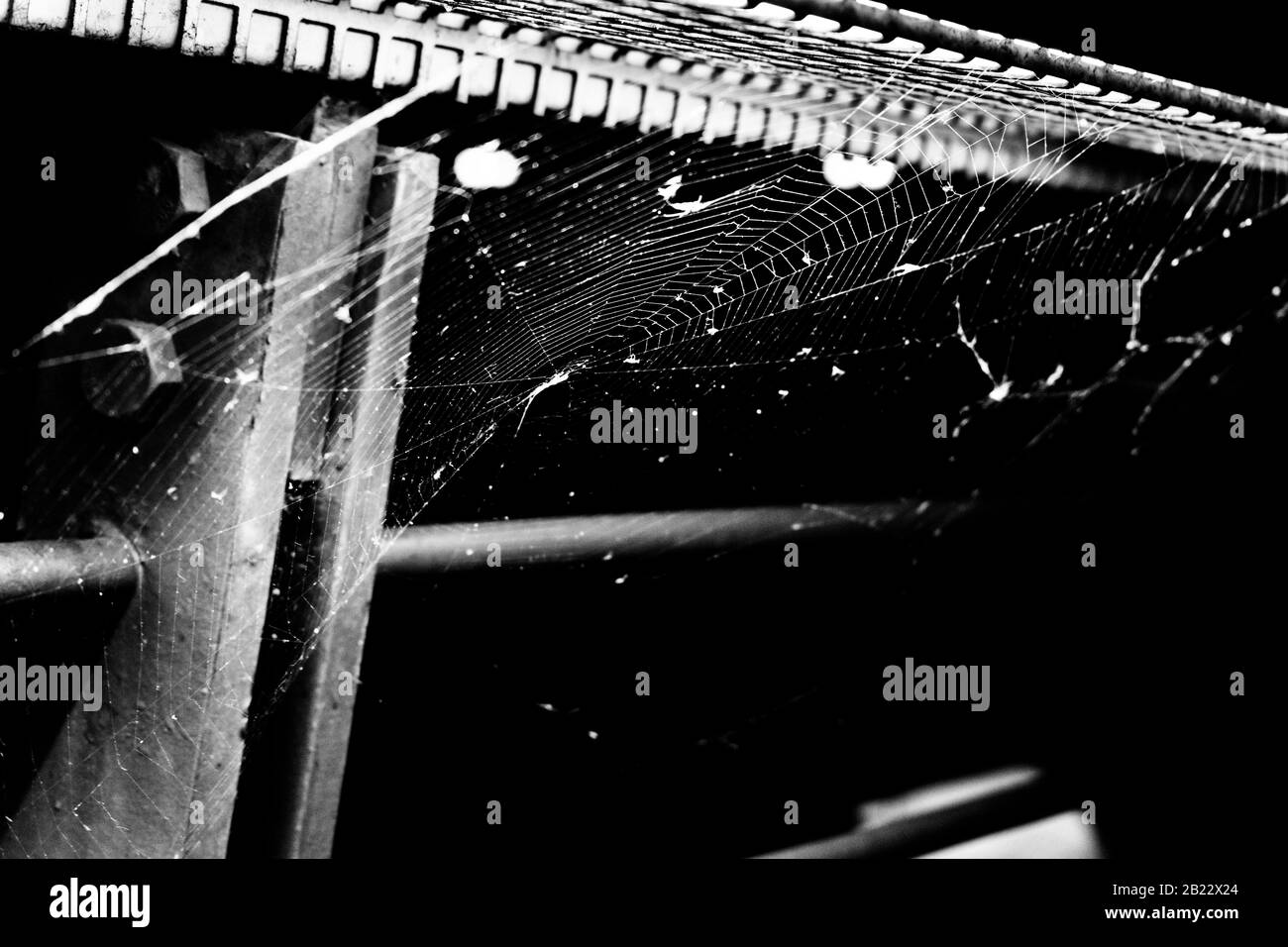 A spider web on metal railings awaits the built-in light black and white Stock Photo