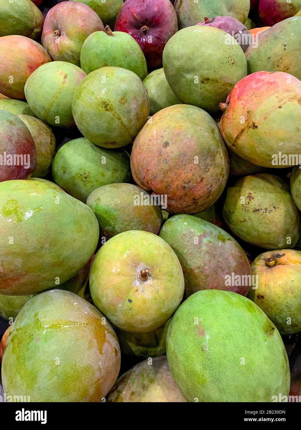 Multi-colored mangoes at the market, Panama, Central America Stock Photo