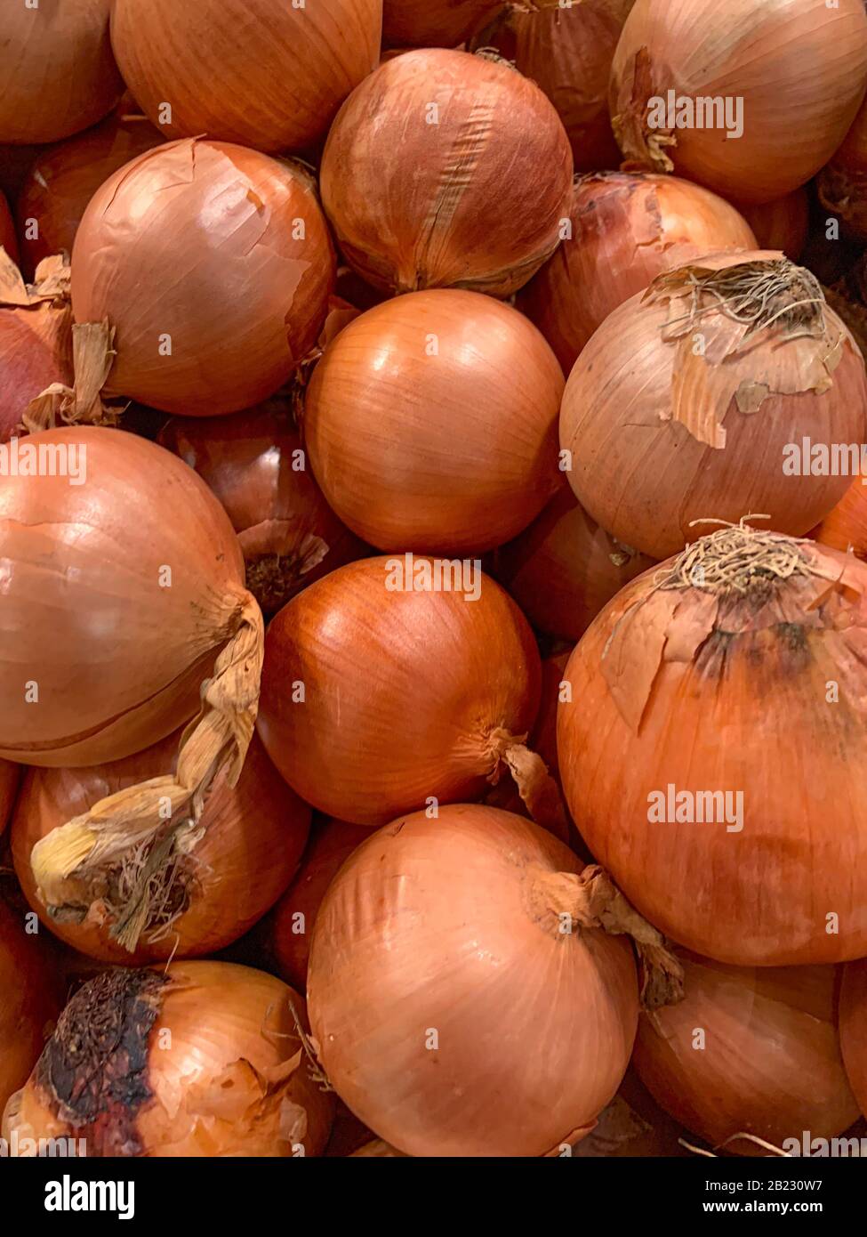 Full frame shot of onions, Panama, Central America Stock Photo