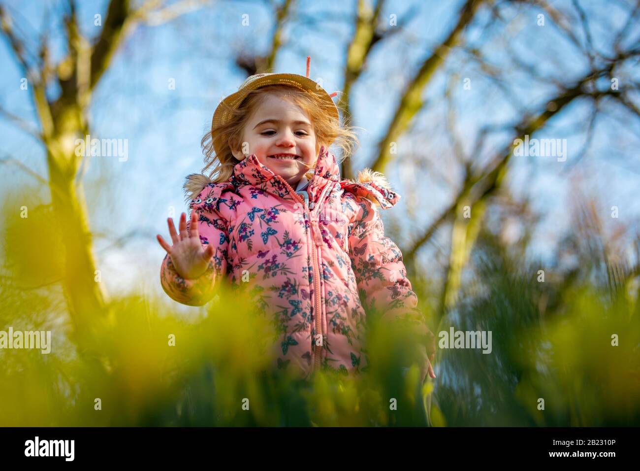 Two and a half year old girl playing outside among spring daffodils Stock Photo
