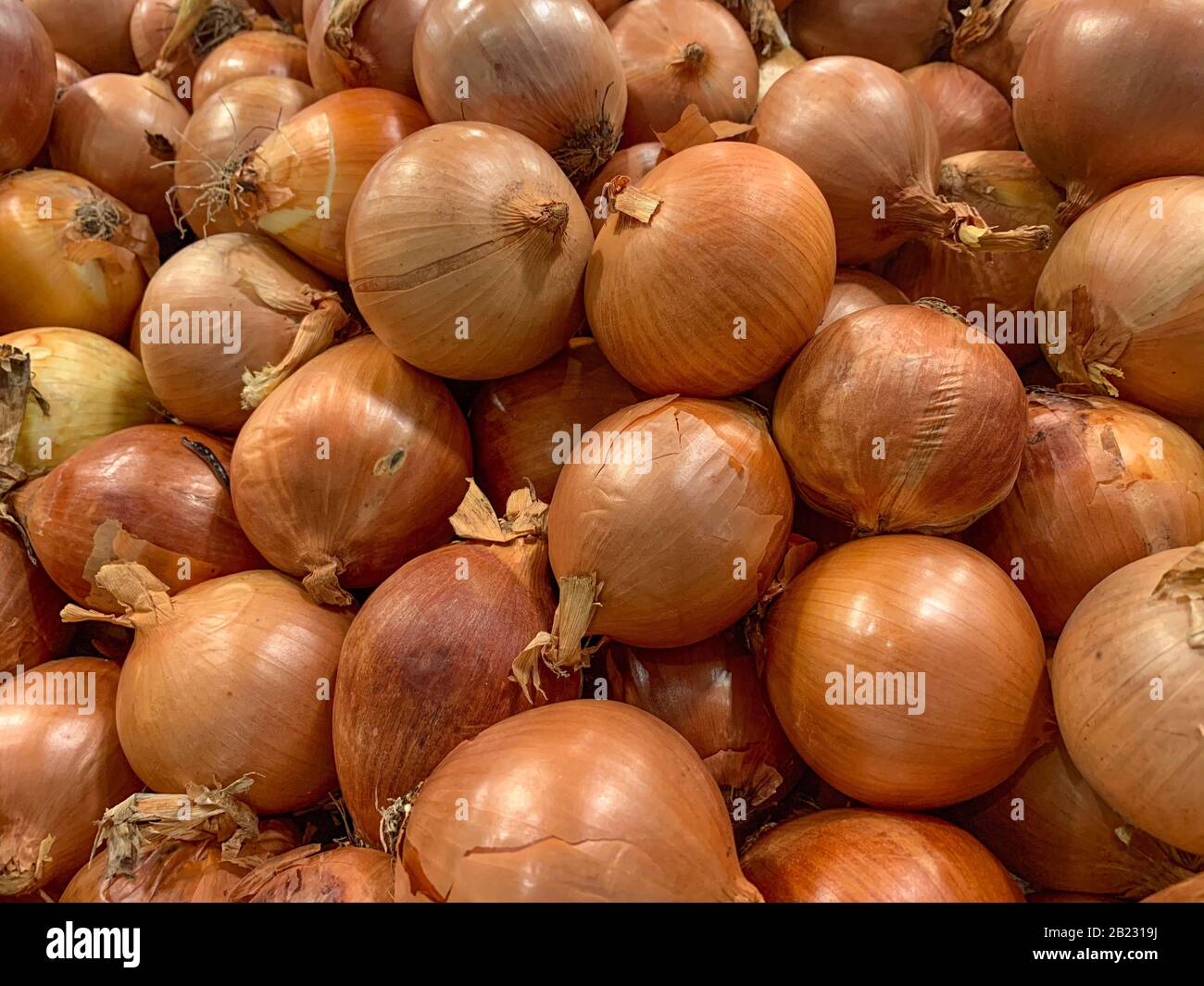 Full frame shot of onions, Panama, Central America Stock Photo