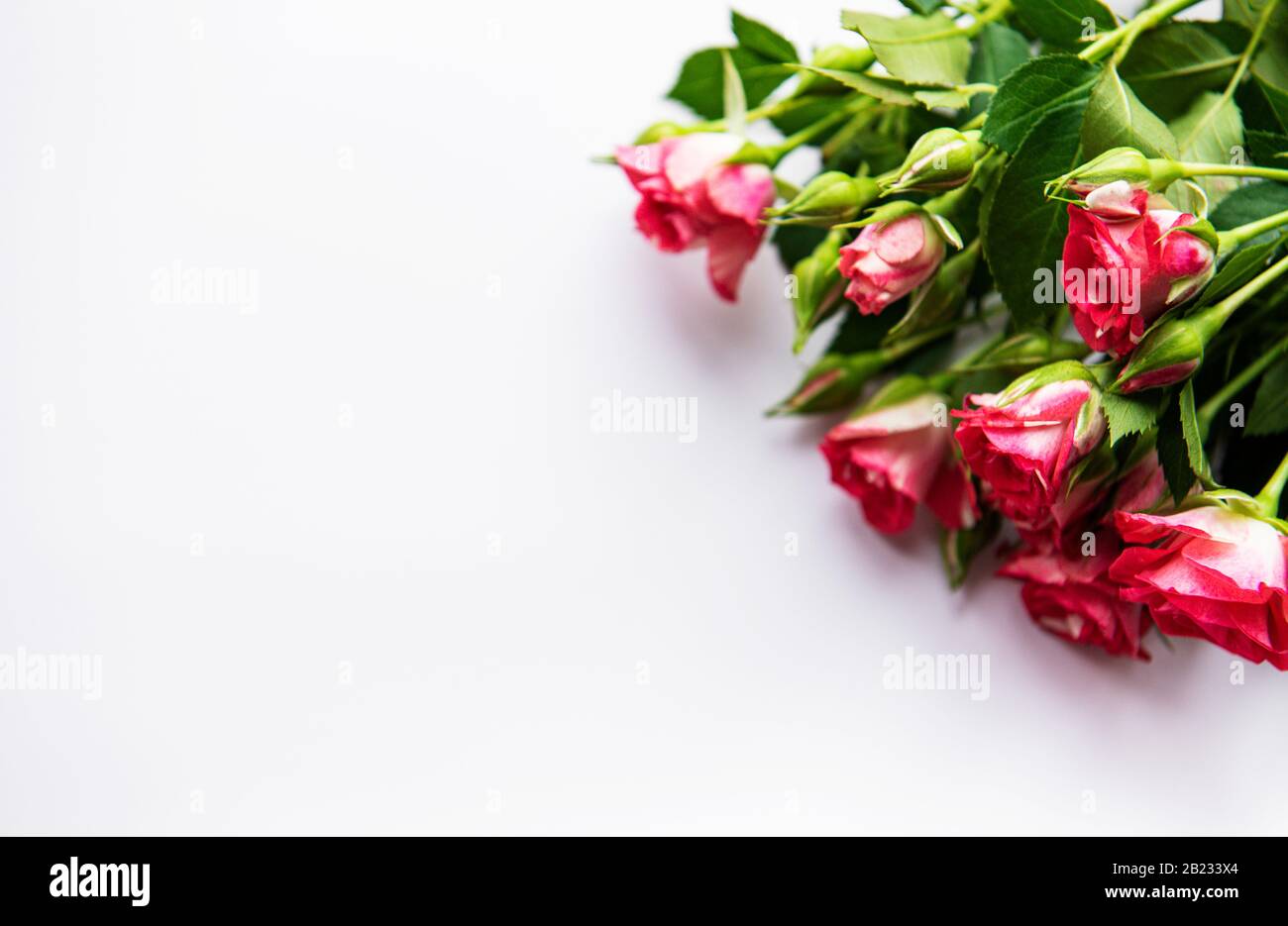 Red roses bouquet on white background Stock Photo - Alamy