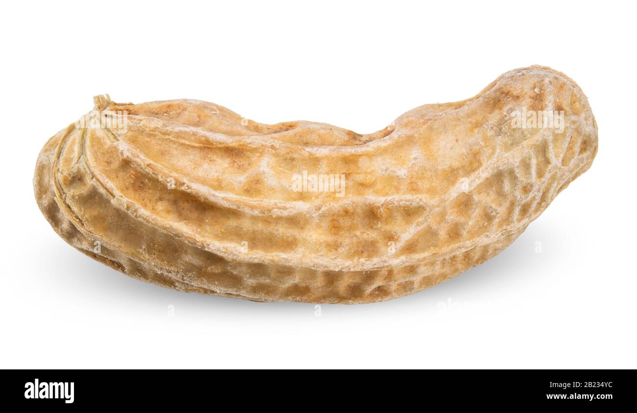 peanut isolated on white, peanut clipping path all focus Stock Photo