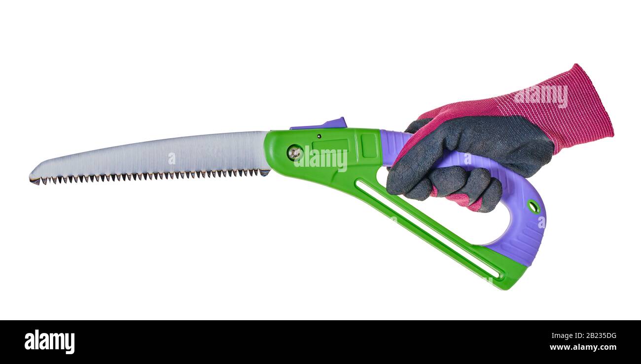 garden tool saw in hand on a white isolated background Stock Photo
