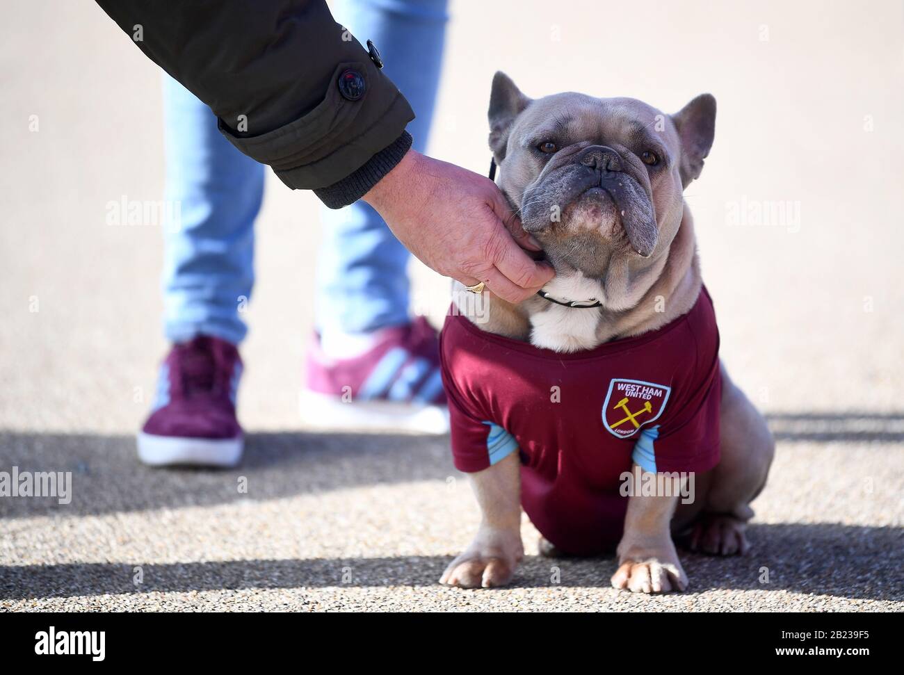 West ham dog shirt Clearance