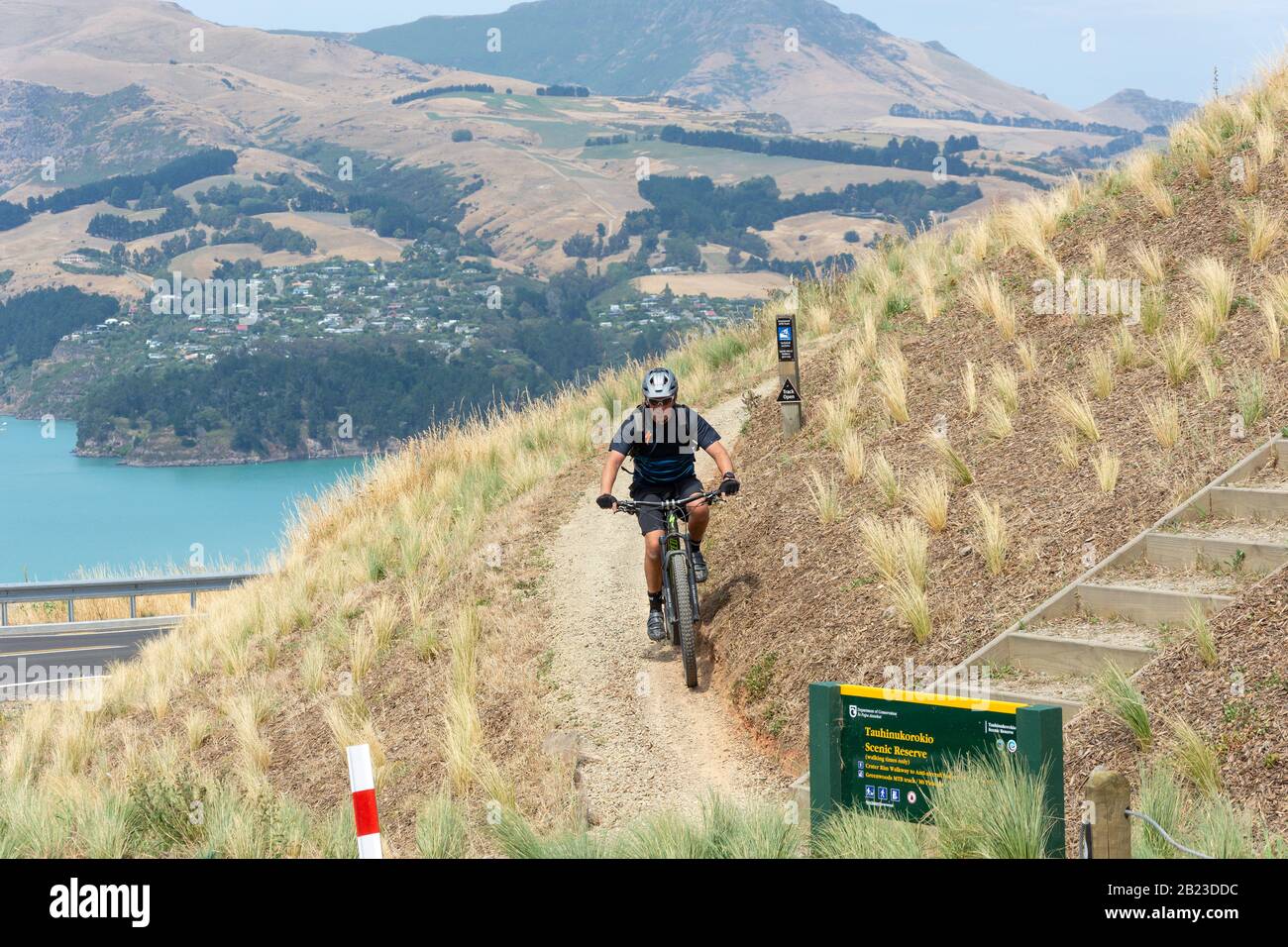 Cyclist on Greenwood Track in Tauhinukorokio Scenic Reserve at Top of Summits Road, Sumner, Christchurch, Canterbury, New Zealand Stock Photo