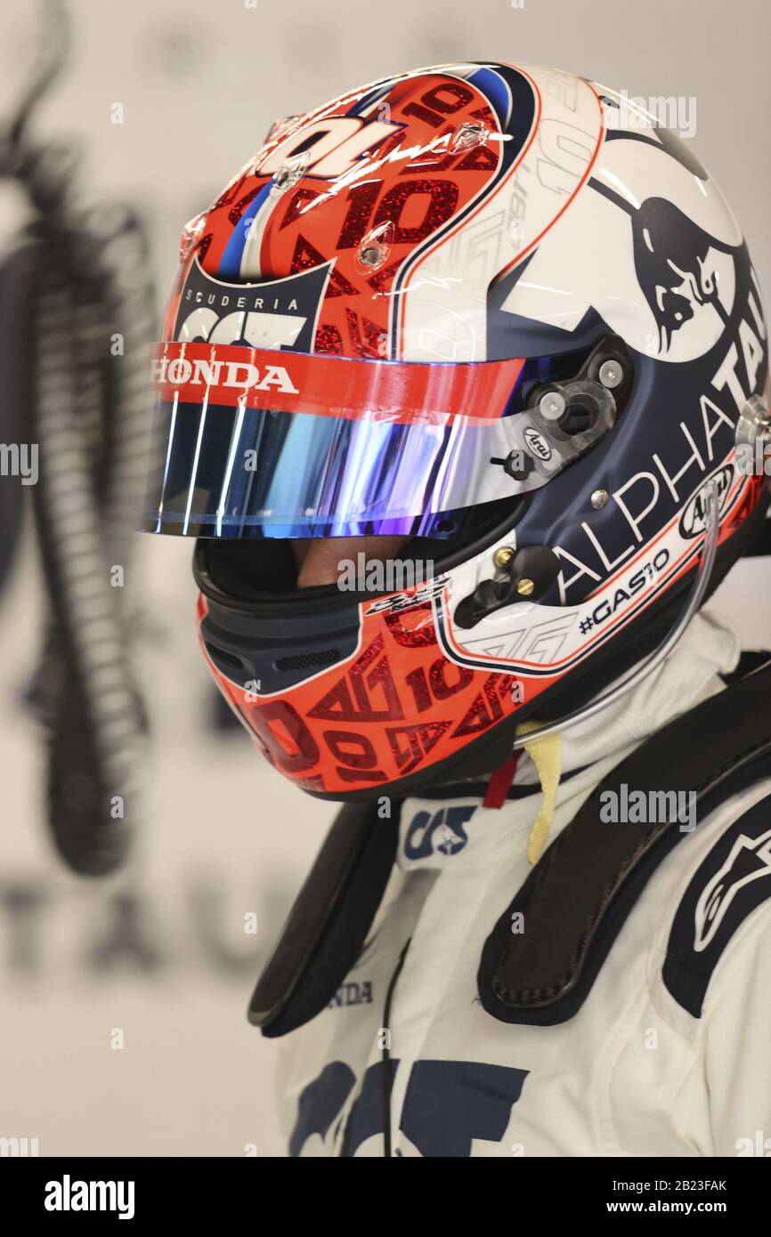 gasly alpha tauri