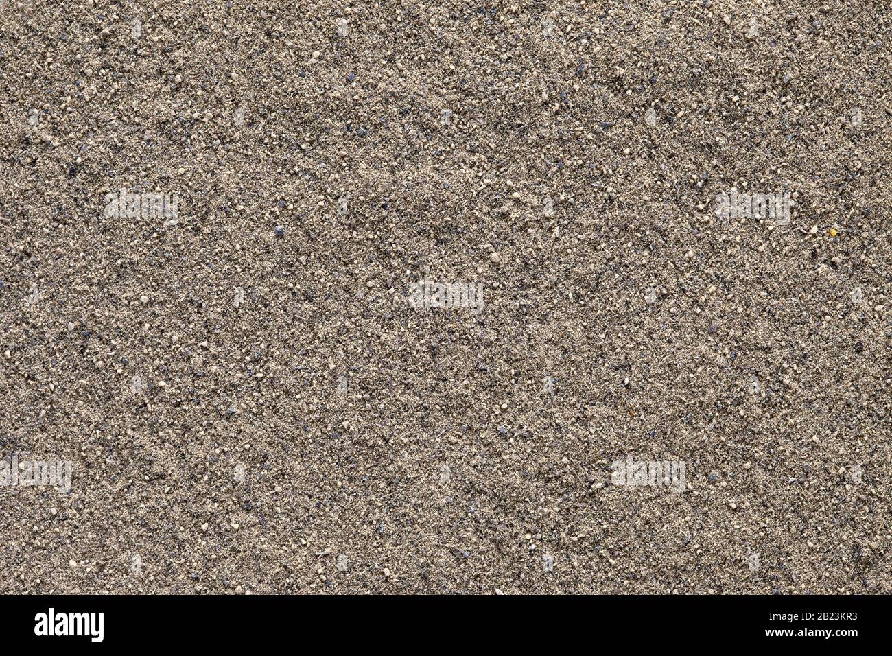 Ground black pepper (Piper nigrum) texture, full frame background. Used as a spice in cuisines all over the world. The plant is also used in medicine. Stock Photo