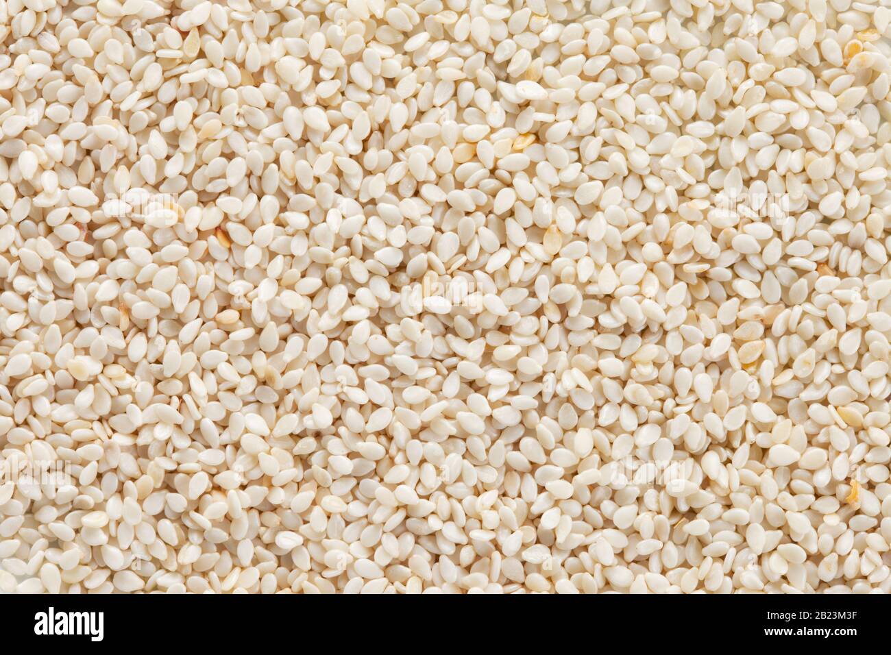 Sesame seeds (Sesamum indicum)  texture, full frame background. Stock Photo