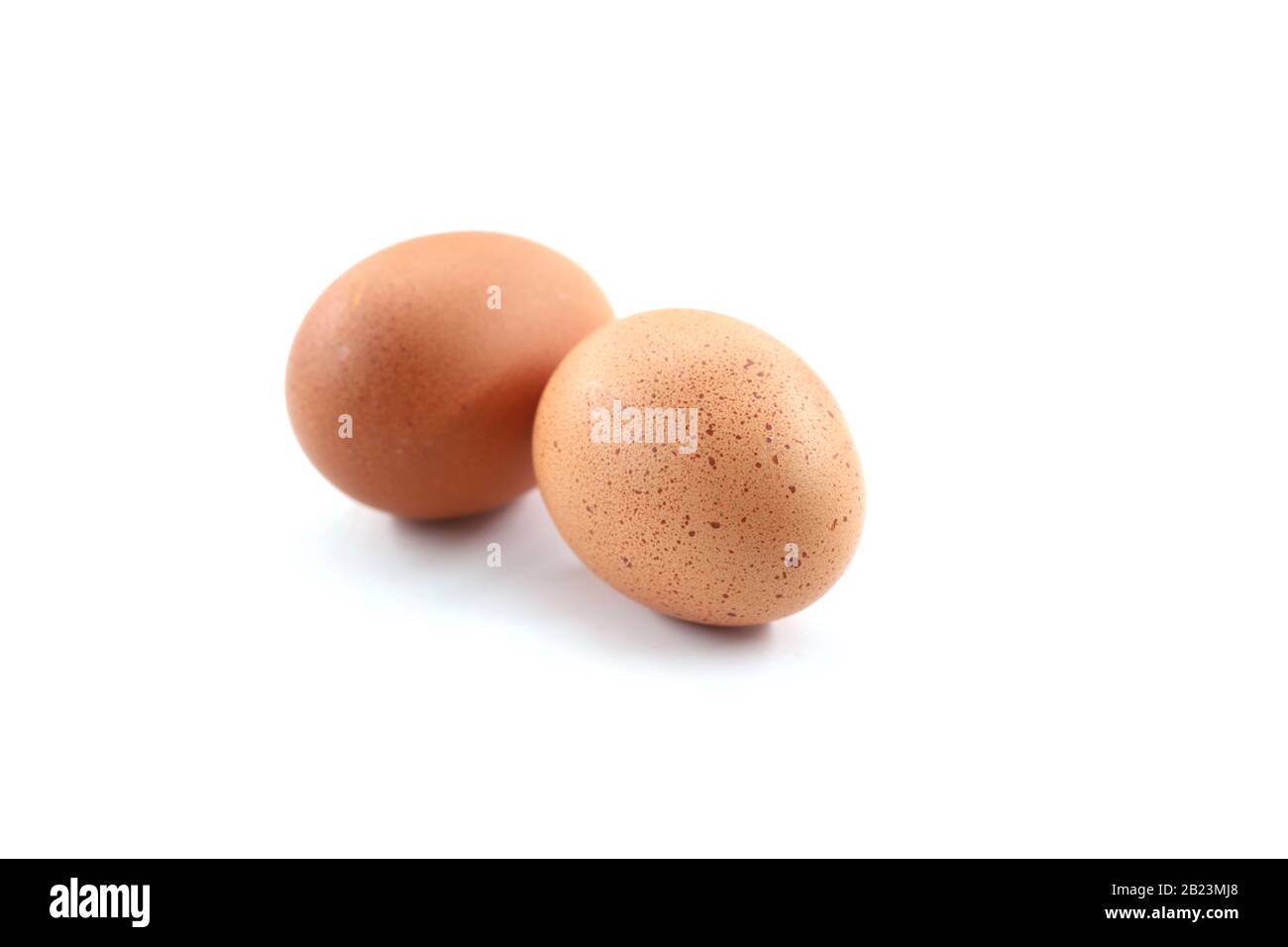 Two eggs isolated on white background Stock Photo