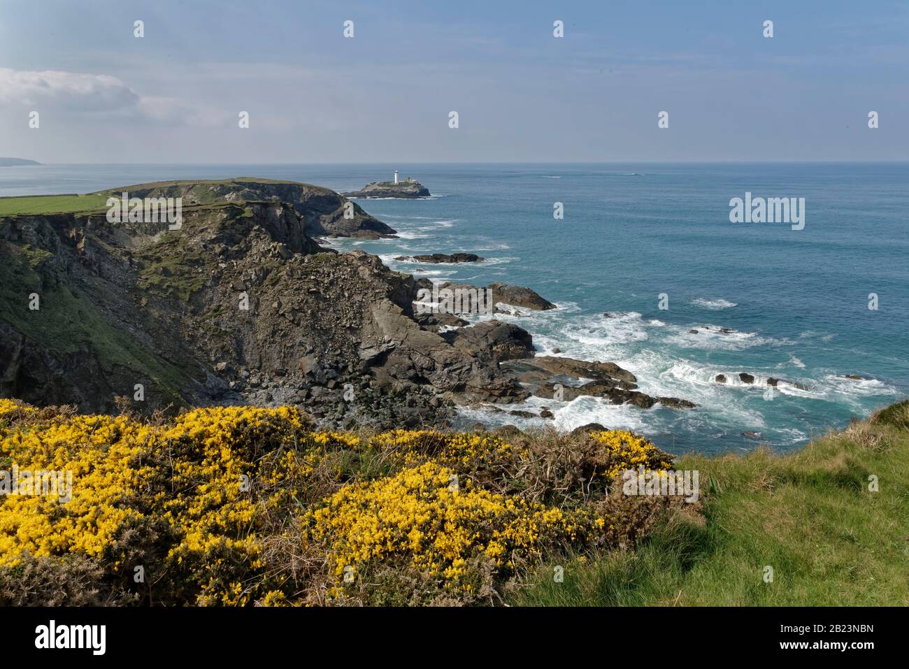 Godrevy Lighthouse viewed from coastal clifftop with flowering Common Gorse (Ulex europaeus) bushes, near St. Ives, Cornwall, UK, April 2019. Stock Photo