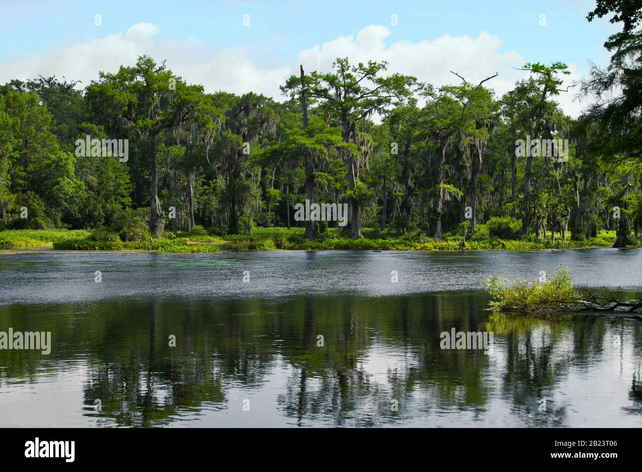 Floating Down the River on Wakulla Springs State Park, Florida Stock Photo Alamy