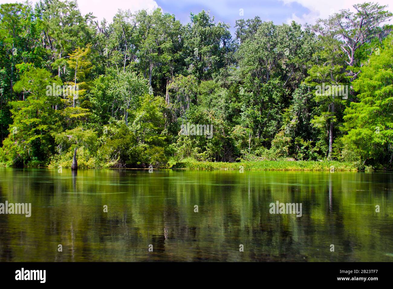 Floating Down the River on Wakulla Springs State Park, Florida Stock Photo Alamy