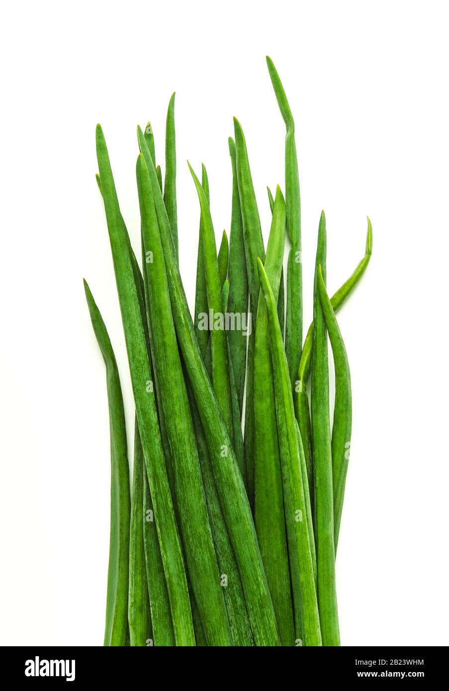 Green onion isolated on white Stock Photo