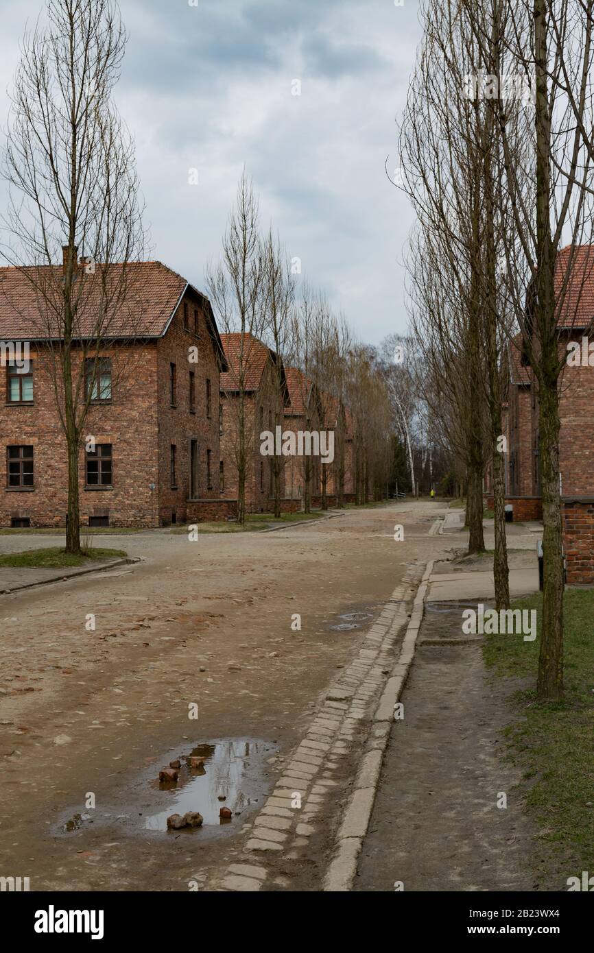Remains of buildings at Auschwitz - Birkenau Museum and Memorial of the Nazi Death Camps of World War II Stock Photo