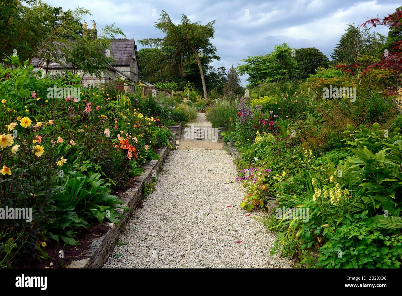 Garden design herbaceous border hi-res stock photography and images - Alamy