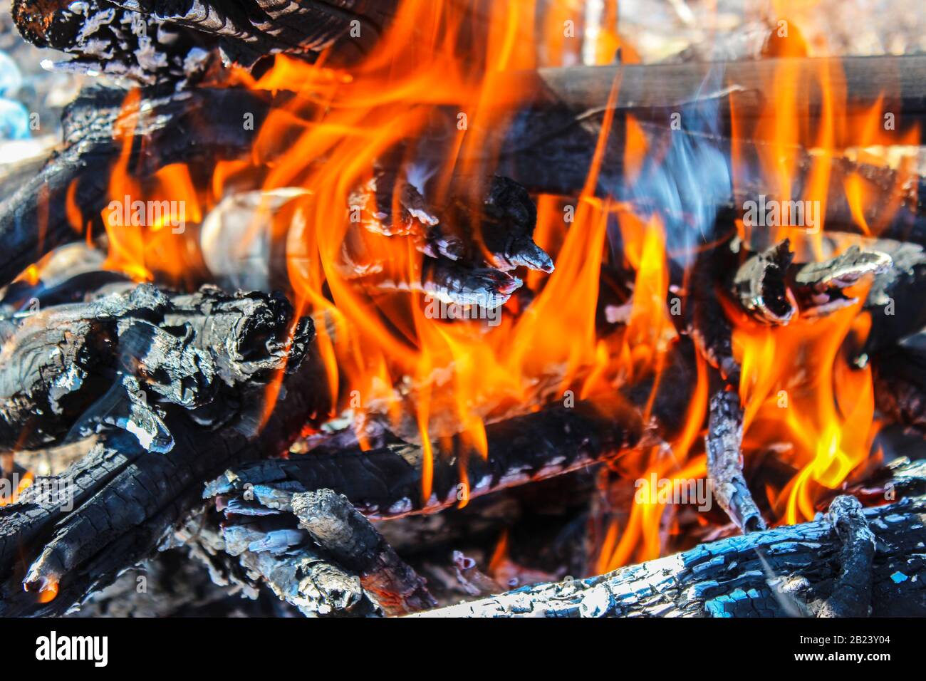 Firewood burning in the fire Stock Photo