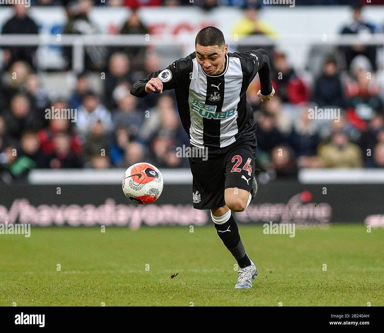 NEWCASTLE UPON TYNE, ENGLAND - FEBRUARY 29TH Miguel Almir-n (24) of Newcastle United in action during the Premier League match between Newcastle United and Burnley at St. James's Park, Newcastle on Saturday 29th February 2020. (Credit: Iam Burn | MI News) Photograph may only be used for newspaper and/or magazine editorial purposes, license required for commercial use Credit: MI News & Sport /Alamy Live News Stock Photo
