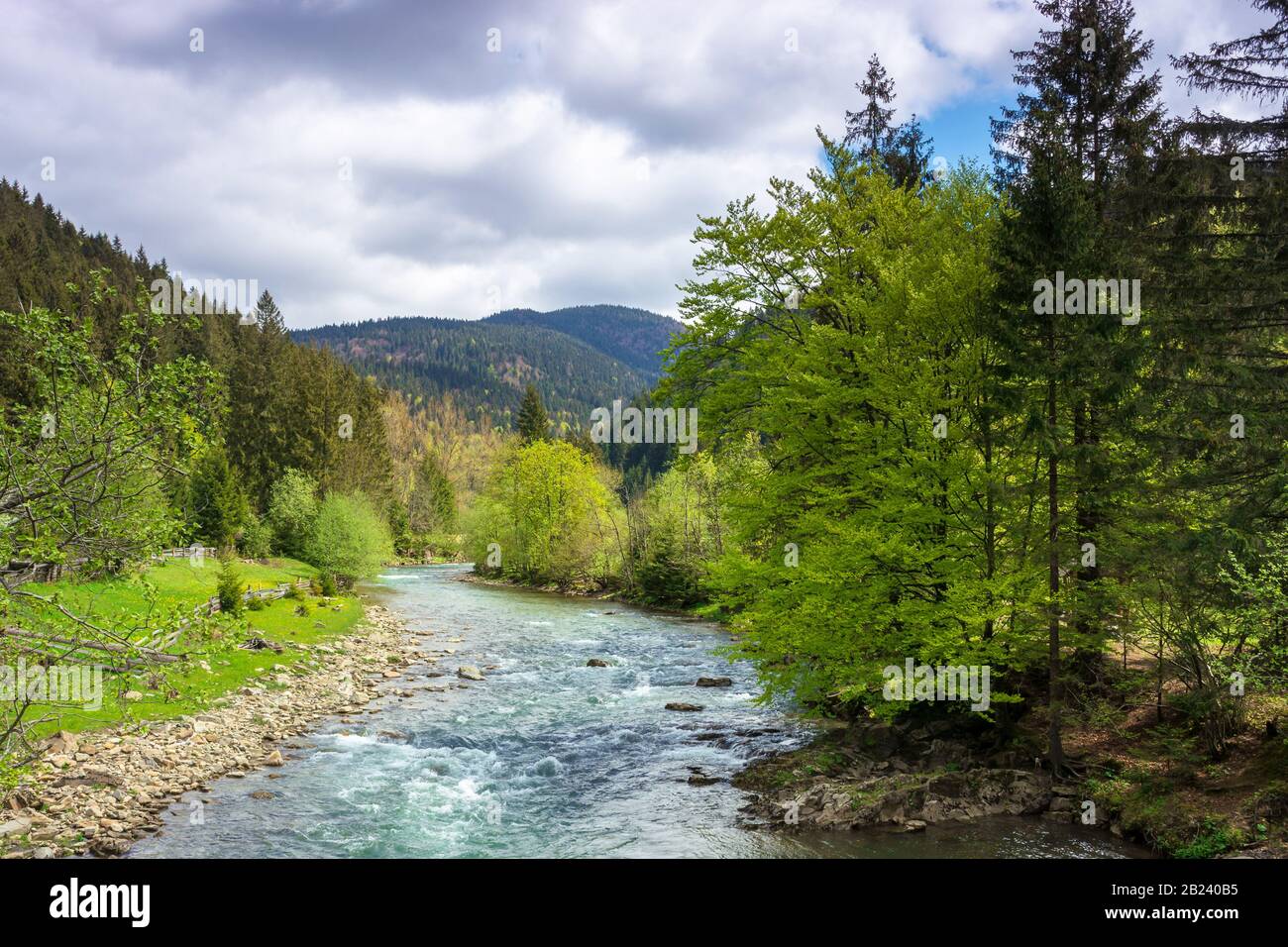 Mountain River Among The Forest In Spring Trees Grass And Stoner On The Shore Beautiful Nature Landscape Wonderful Sunny Weather With Gorgeous Sky Stock Photo Alamy