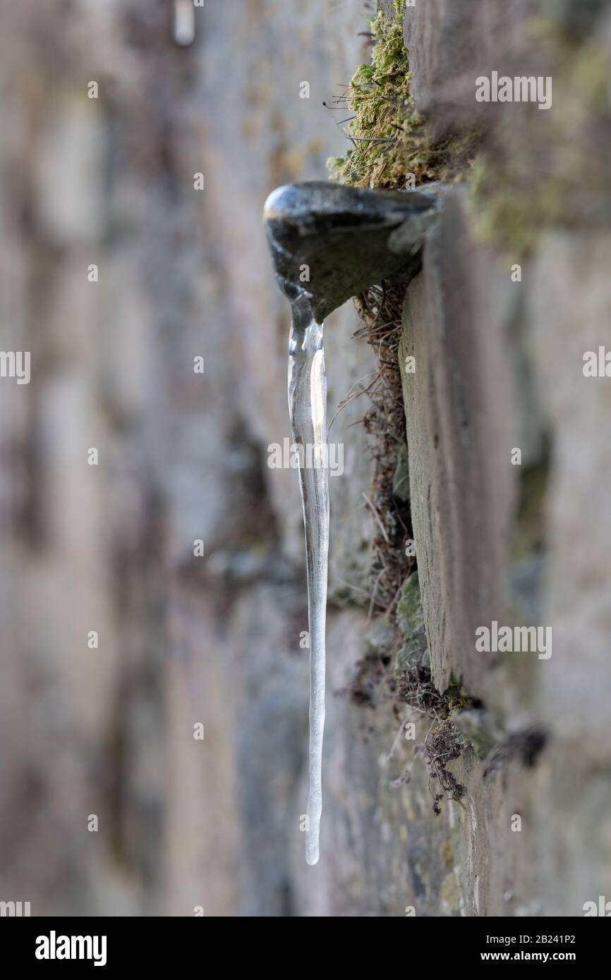 A icicle at the Suomenlinna Fortress, Helsinki. Stock Photo