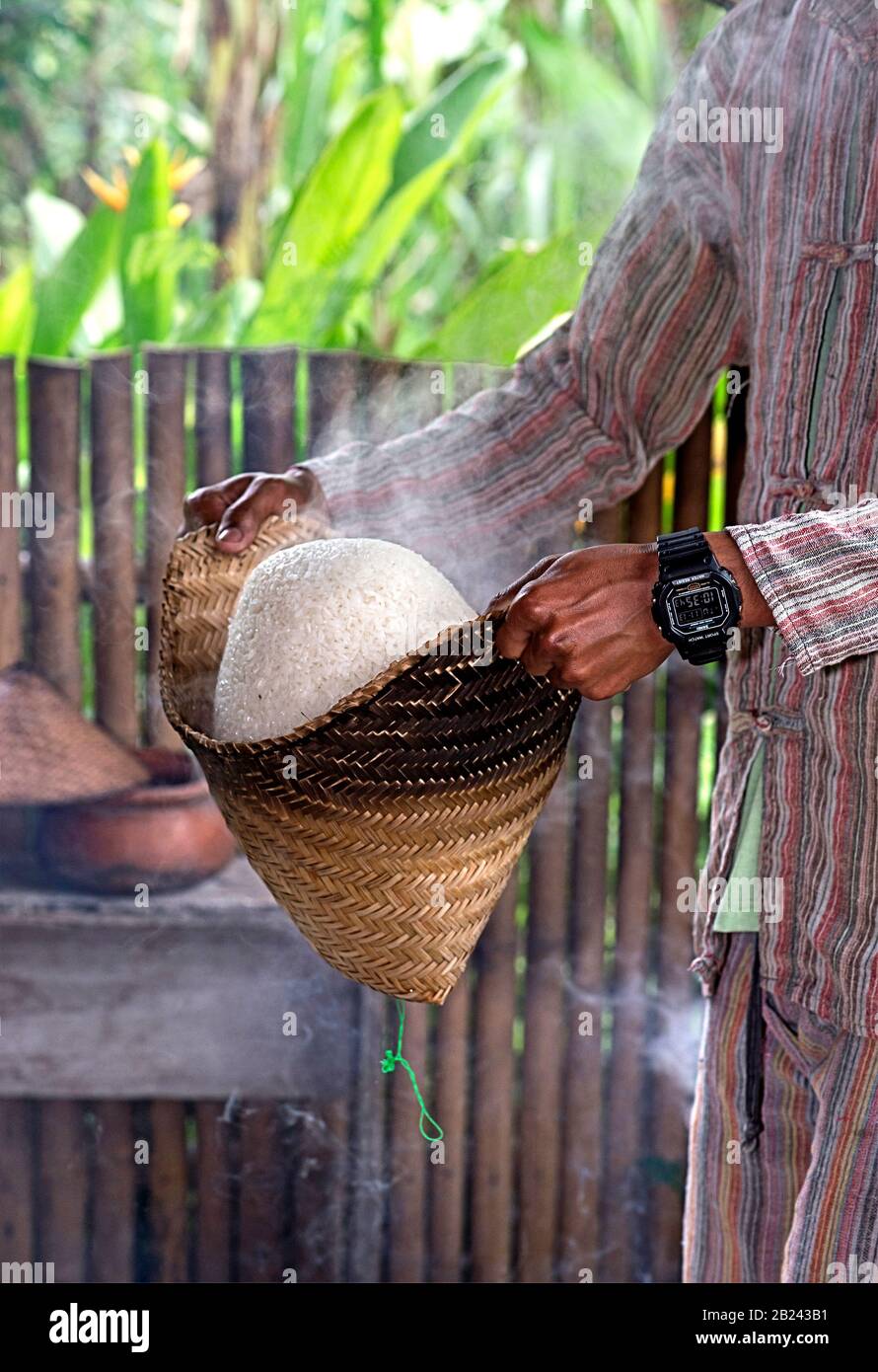 Traditional rice cooker over open fire, sticky rice cooking in a bamboo  basket over simmering water, Living Land Rice Farrm near Luang Prabang,  Laos Stock Photo - Alamy