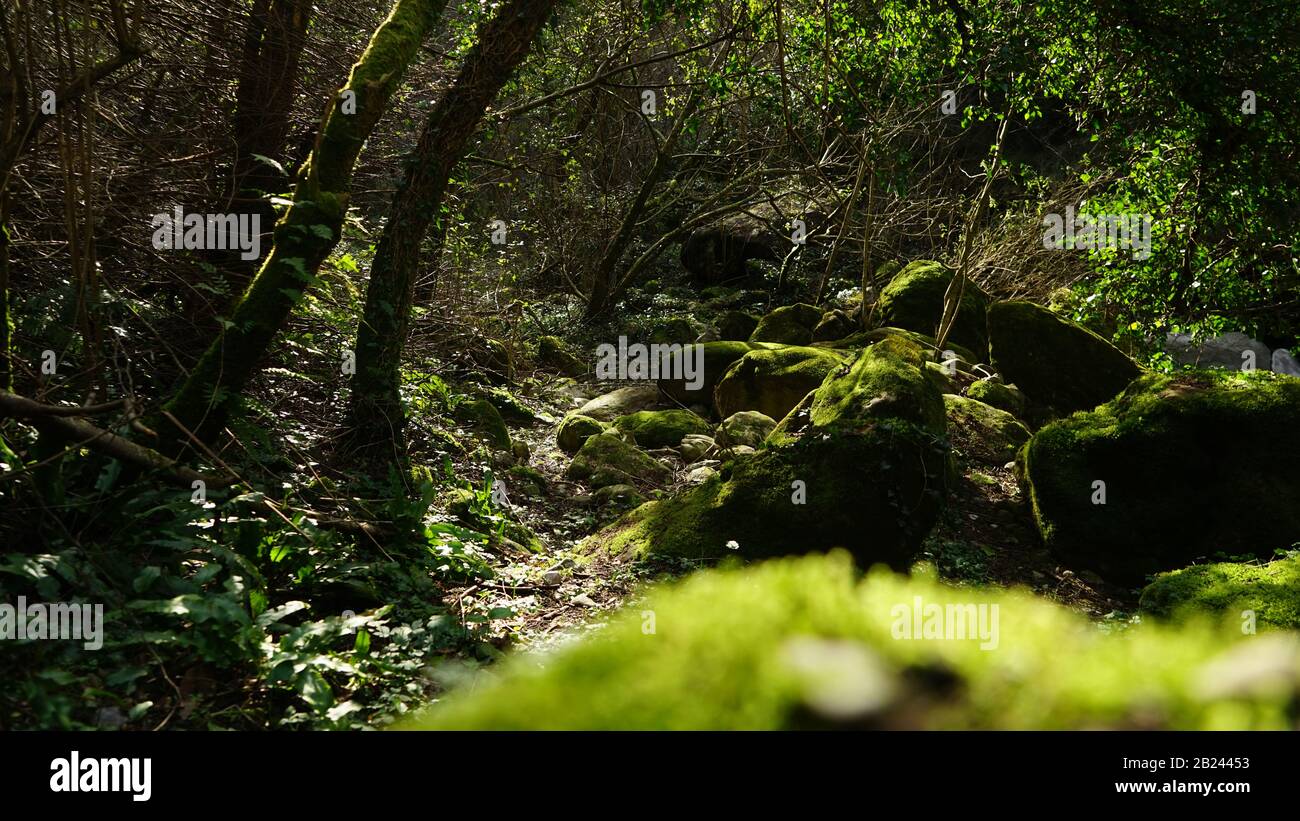 Malbacco & La Cappella Stock Photo Alamy