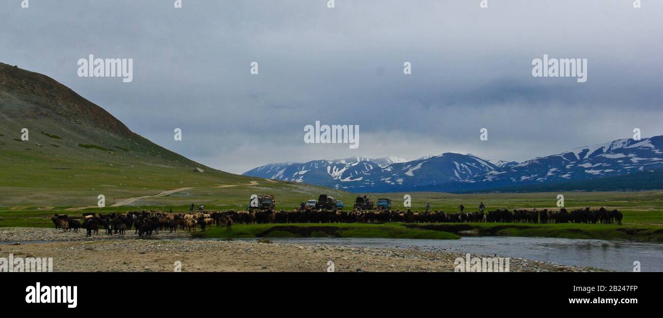 Mongolian lifestyle, Nomadic lifestyle in Western Mongolia Stock Photo ...