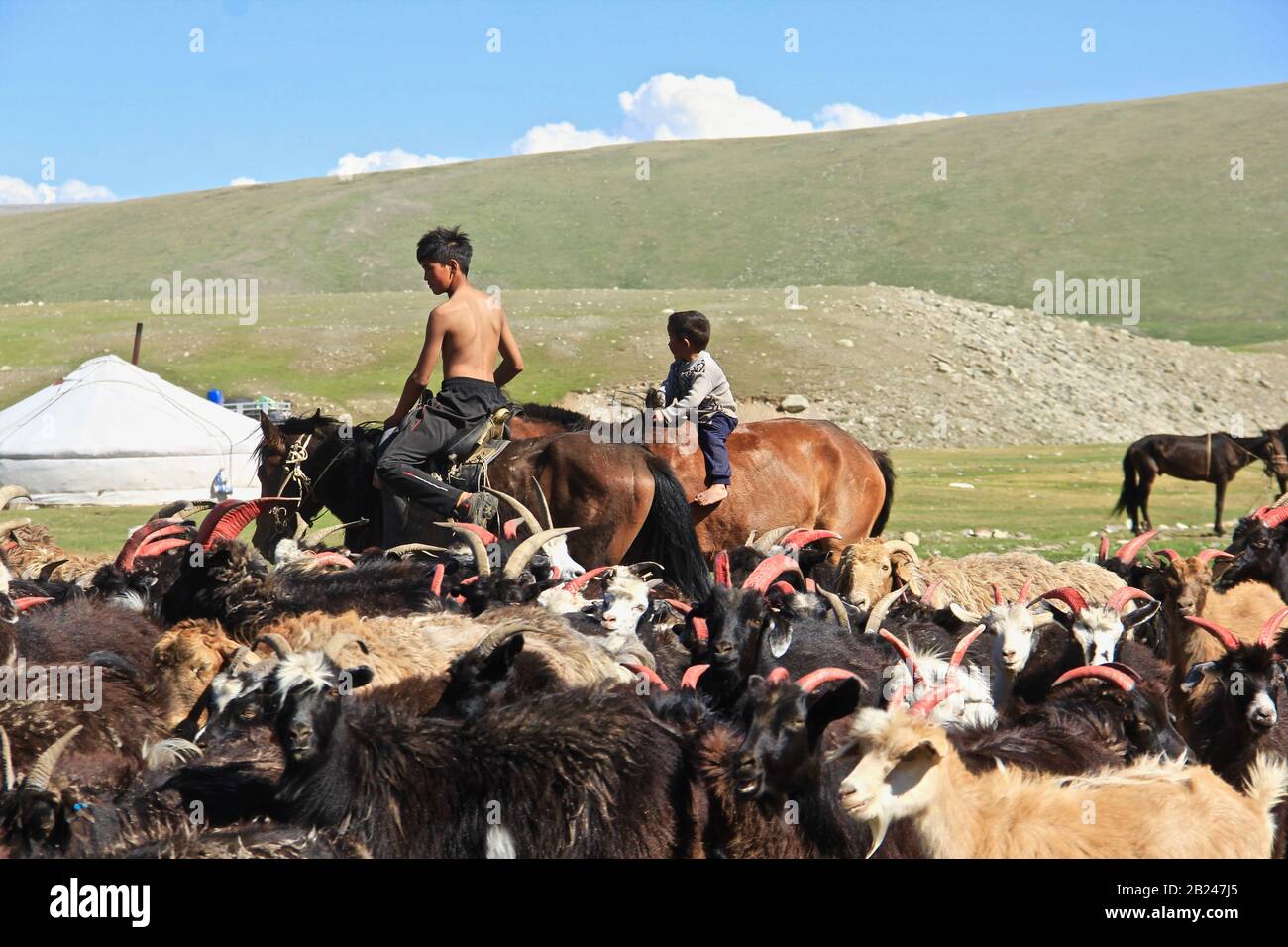 Mongolian lifestyle, Nomadic lifestyle in Western Mongolia Stock Photo