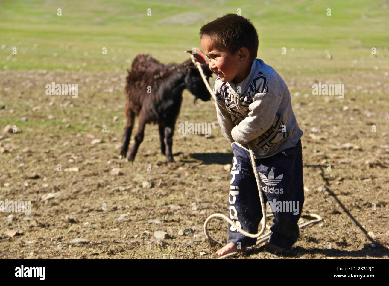 Mongolian lifestyle, Nomadic lifestyle in Western Mongolia Stock Photo ...