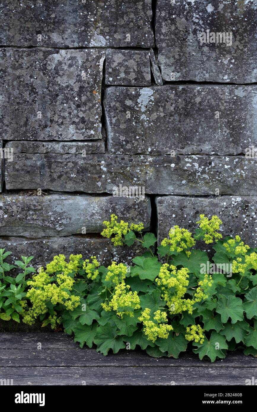 Mantle wall hi-res stock photography and images - Alamy