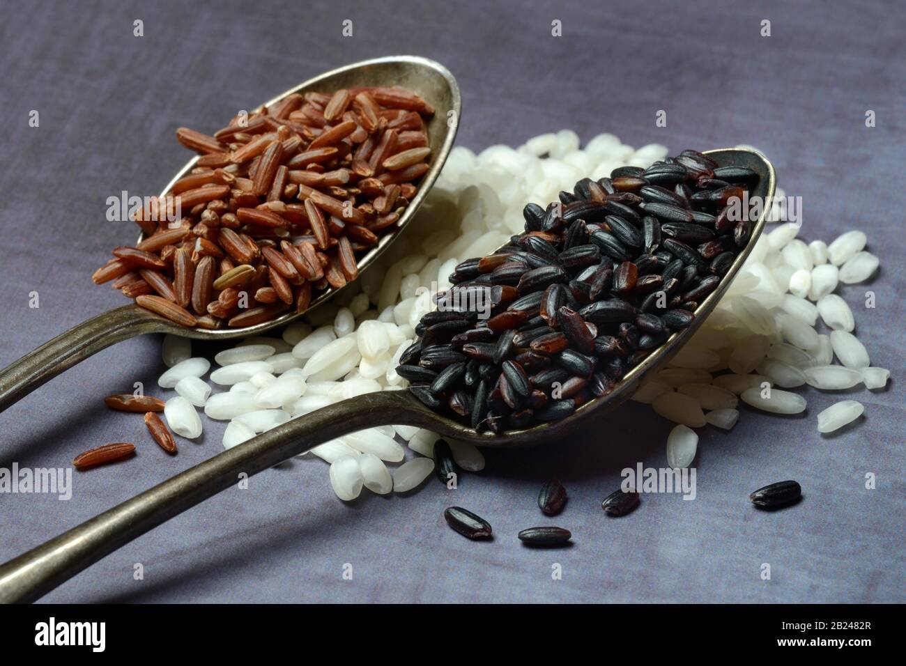Different types of rice, Rice, Germany Stock Photo Alamy