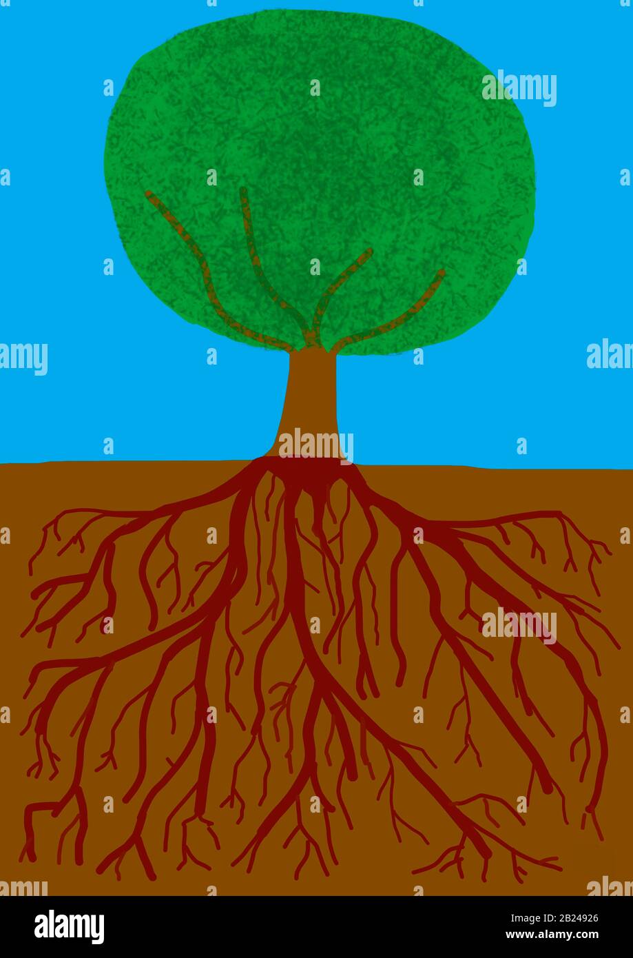 Naive illustration, children's drawing, deciduous tree with roots, Germany Stock Photo