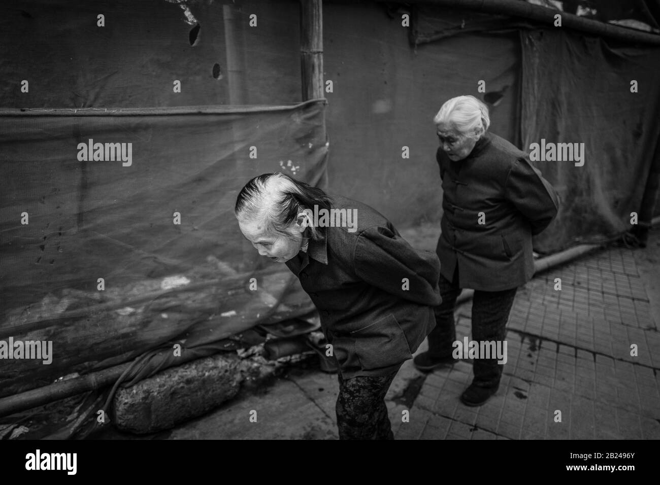 Native To China Black and White Stock Photos & Images - Page 2 - Alamy