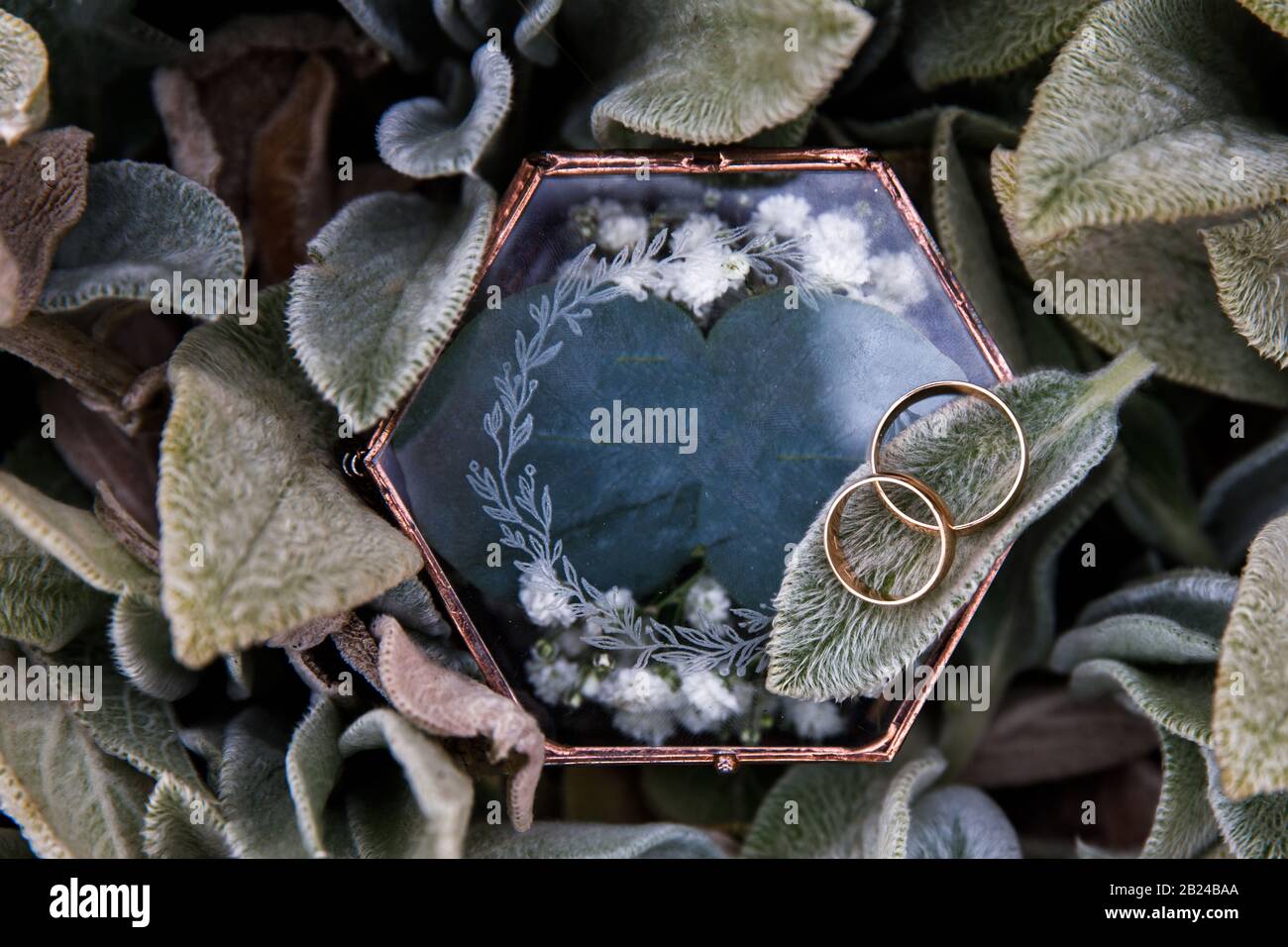 Two wedding rings for the bride and groom lie in a glass box Stock