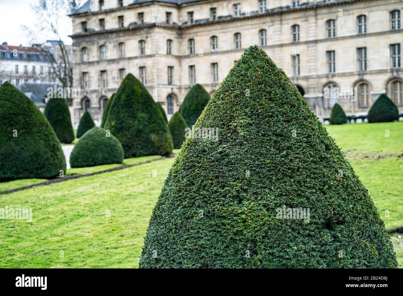Topiary bush in the grounds of Les Invalides Paris, France Stock Photo