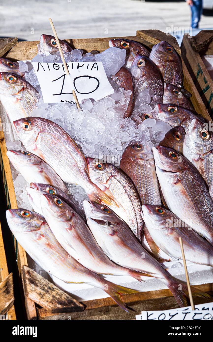Fresh fish on ice. Fresh fish variety for sale at an outdoor fishmarket