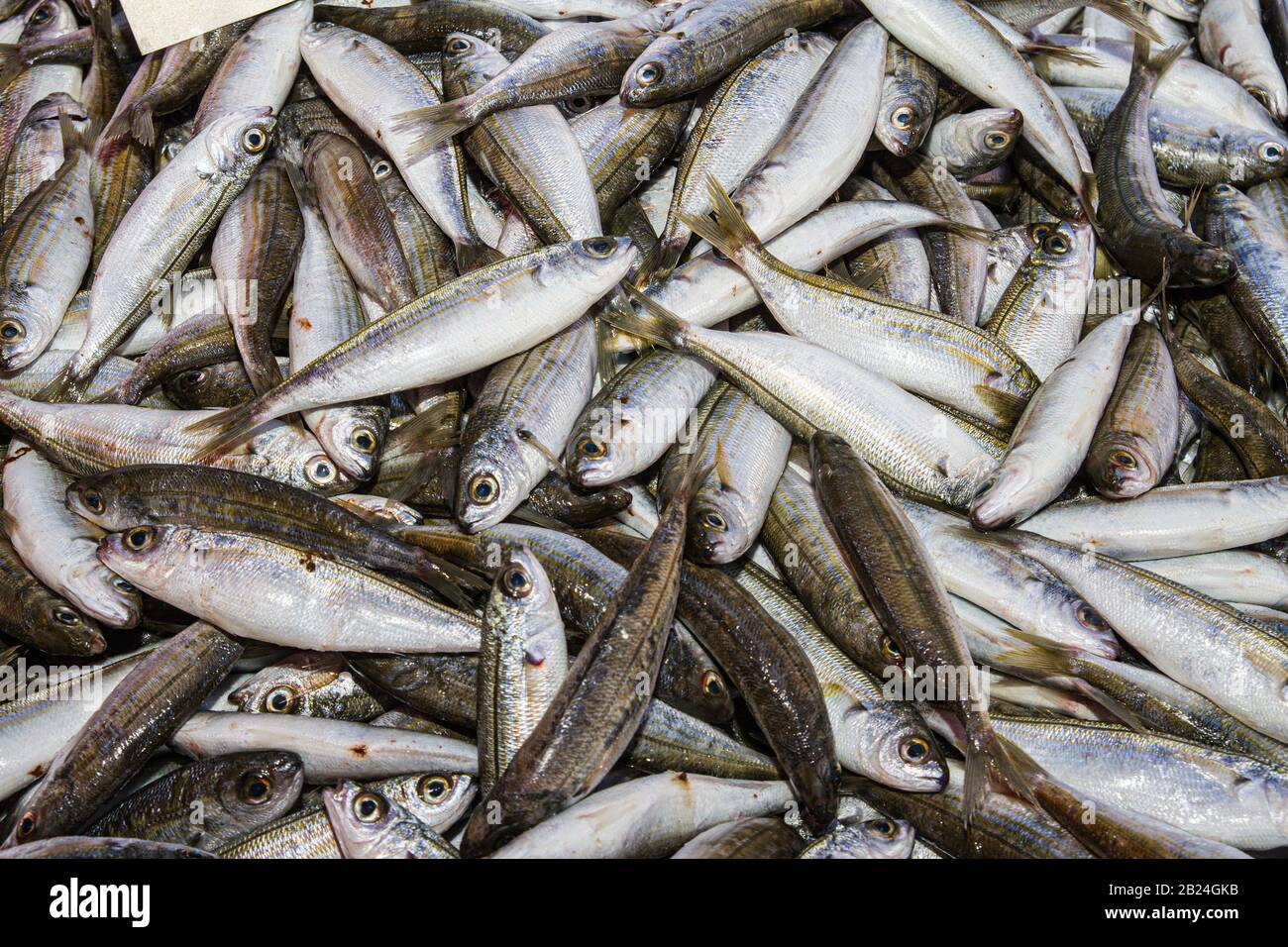 Fish variety hi-res stock photography and images - Alamy