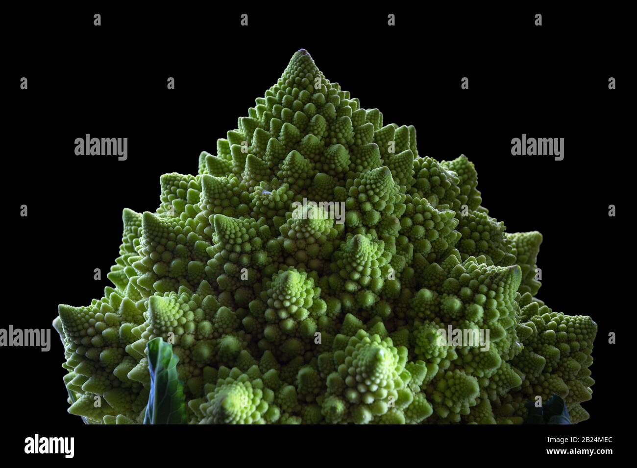 broccoli romanesco , on a black background in the studio Stock Photo
